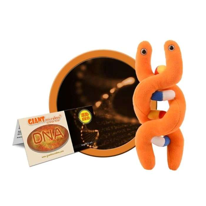 DNA GIANT MICROBE