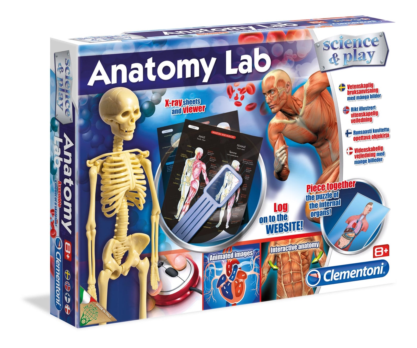 Anatomy Lab | Purple Me Green