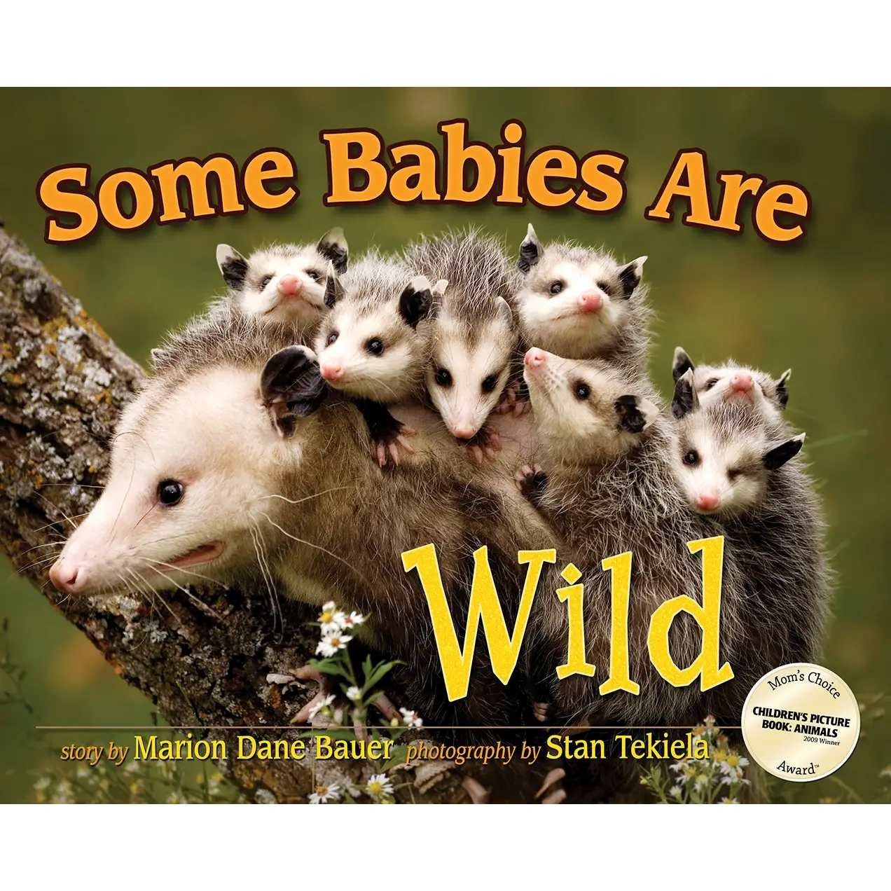 ADVENTURE KEEN - Some Babies Are Wild Bluebird Kids Book (AP30846)